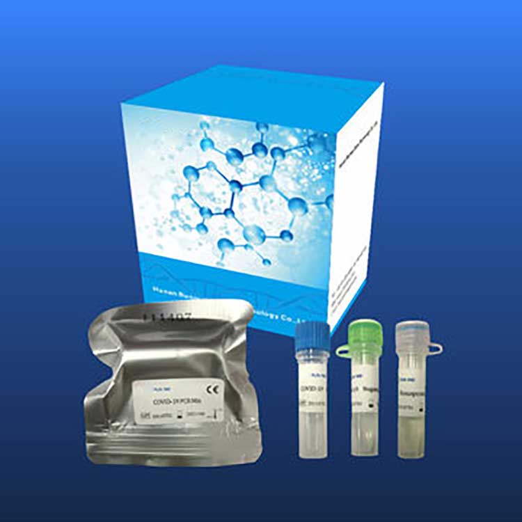 Drug Test Kit Reagent Diagnostic Test Kit Para sa Covid-2019 Para sa Real-time nga Pcr Platform