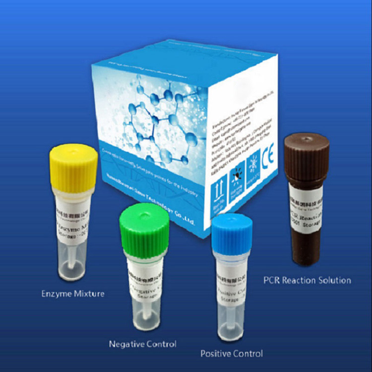 Ang Reagent Diagnostic Test Kit Para sa Covid-2019 Nagdepende sa Real-time nga Pcr Platform